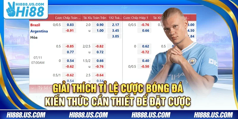 Giải thích tỉ lệ cược bóng đá – Kiến thức cần thiết để đặt cược