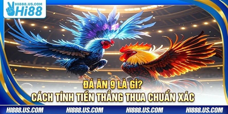 Đá ăn 9 là gì? Cách tính tiền thắng thua chuẩn xác