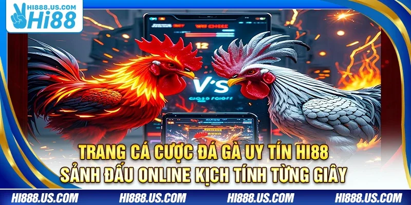 Trang cá cược đá gà uy tín Hi88 – Sảnh đấu online kịch tính từng giây