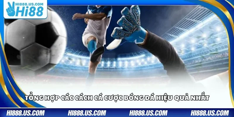 Tổng hợp các cách cá cược bóng đá hiệu quả nhất