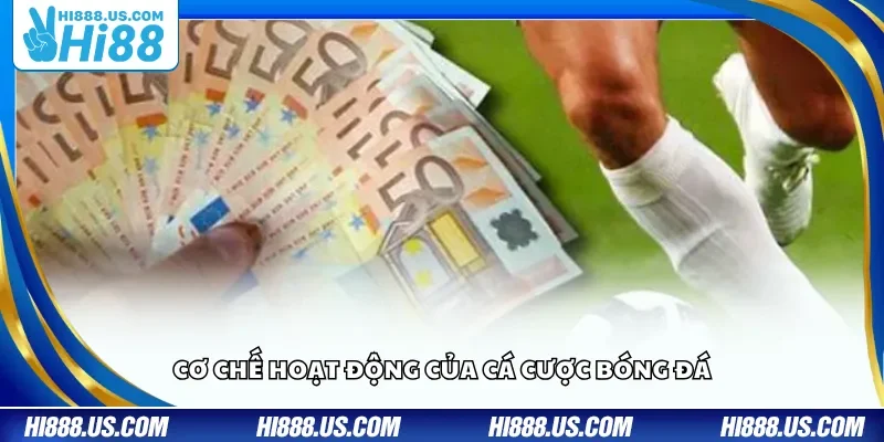 Cơ chế hoạt động của cá cược bóng đá