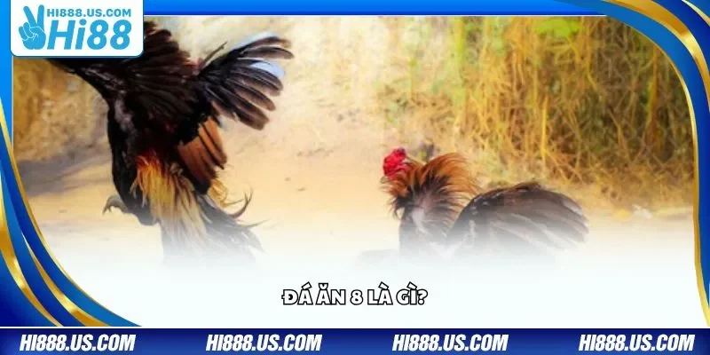 Đá ăn 8 là gì?