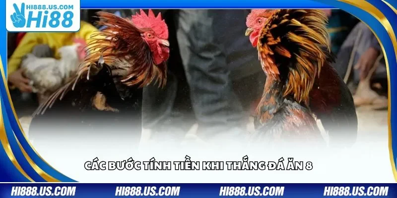 Các bước tính tiền khi thắng đá ăn 8