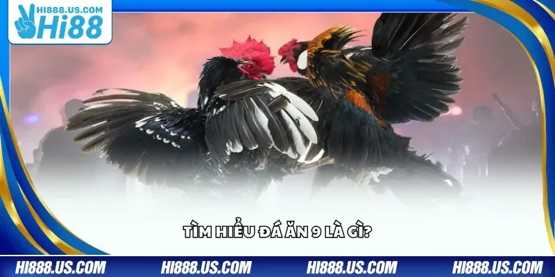 Tìm hiểu đá ăn 9 là gì?