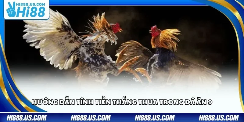 Hướng dẫn tính tiền thắng thua trong đá ăn 9
