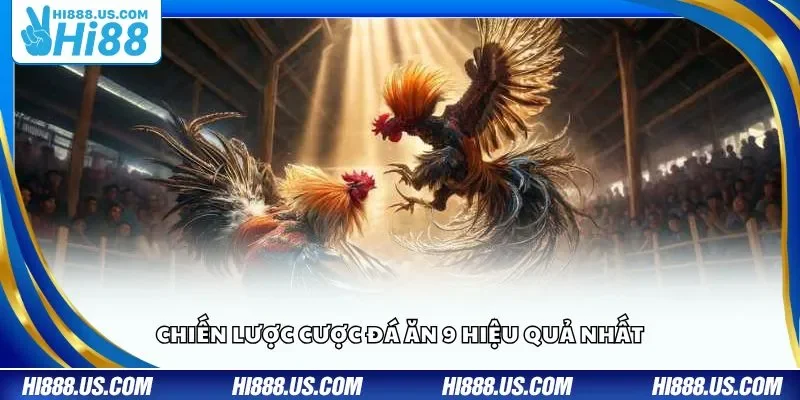 Chiến lược cược đá ăn 9 hiệu quả nhất