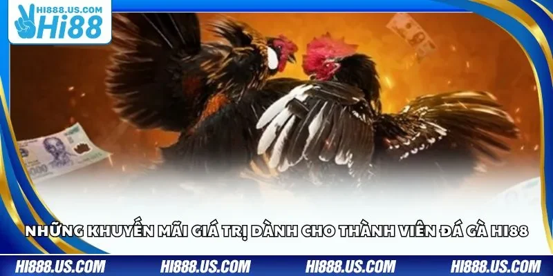 Những khuyến mãi giá trị dành cho thành viên đá gà Hi88