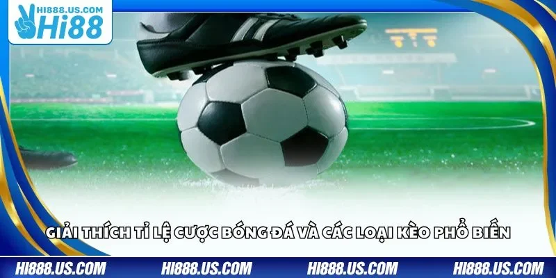Giải thích tỉ lệ cược bóng đá và các loại kèo phổ biến