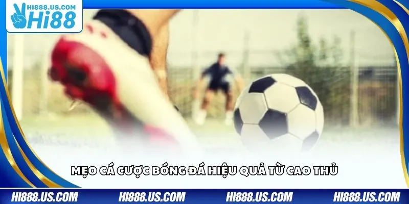 Mẹo cá cược bóng đá hiệu quả từ cao thủ