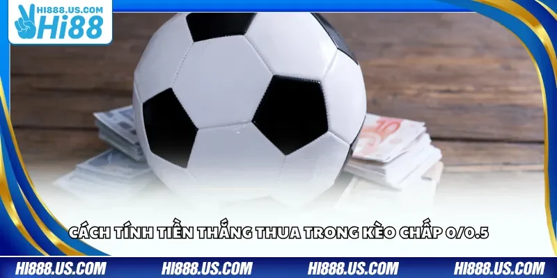 Cách tính tiền thắng thua trong kèo chấp 0/0.5