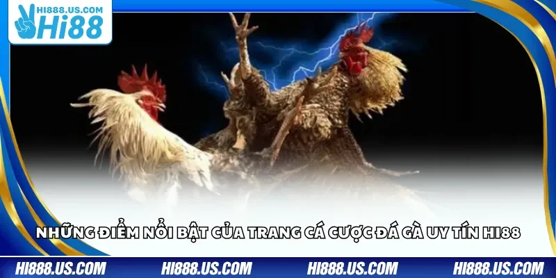 Những ưu thế đặc biệt của trang cá cược bóng rổ Hi88