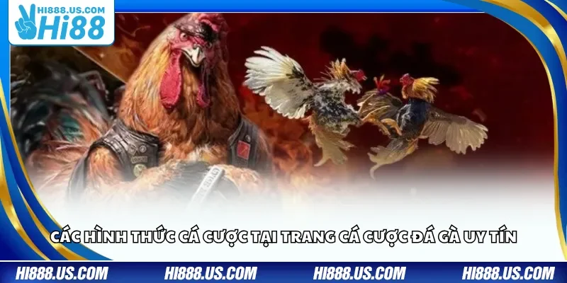 Những giải bóng rổ tiêu biểu nhất tại Hi88